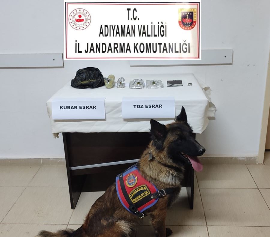 Kahta İlçe Emniyet Güçleri Tarafından 89 Şahsa (Uyuşturucudan) İşlem Yapıldı,
